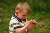 Fynn 08.05.2011 216.jpg