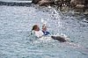 0208_8911.JPG