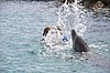 0208_8916.JPG